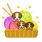 puppies