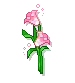 pink flowers