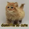 so cute