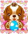 cute kawaii sayclub dog