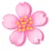 pink flower