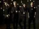 nlt
