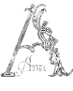 Ann