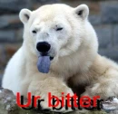 Ewww ur bitter