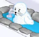 webkinz seal 2
