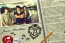 This is what my diary looks like! 