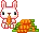 hungry bunny