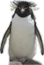 Penguin with Glitter