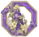 Purple Parrot