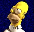 Homer 3d