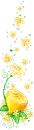 yellow flowers