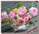 colorful roses