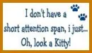 Attention Span Kitty 