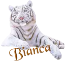 Name