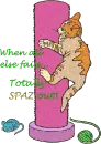 Spaz cat