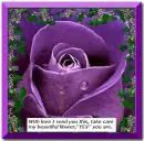 flower poem