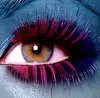 lush eye 