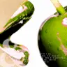 Green lips 