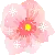 cute flower