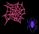 Spider webs