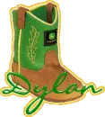 JD Boot- Dylan