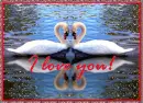 I love you