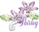 Shirley