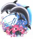 Gian