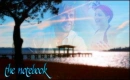 love - the notebook