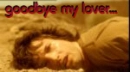 Goodbye my lover