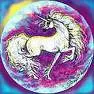 unicorn in a circle