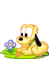 Puppy