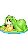 Puppy