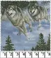 Wolves Running