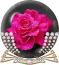 a globe with a rose with diamonds on the side