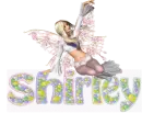 Shirley