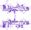 Fairy Princess was here
