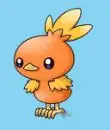 ToRcHiC