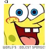 SPONGEBOB!