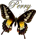 Butterfly Perry