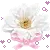 white flower