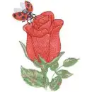 ladybug3