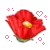 red poppy