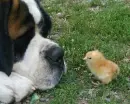 where is the love 