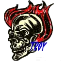 troy skull