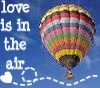 hot air balloon