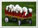 ready for a ride :)