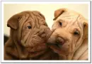 just a kiss