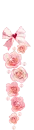 pink roses