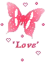 butterfly love